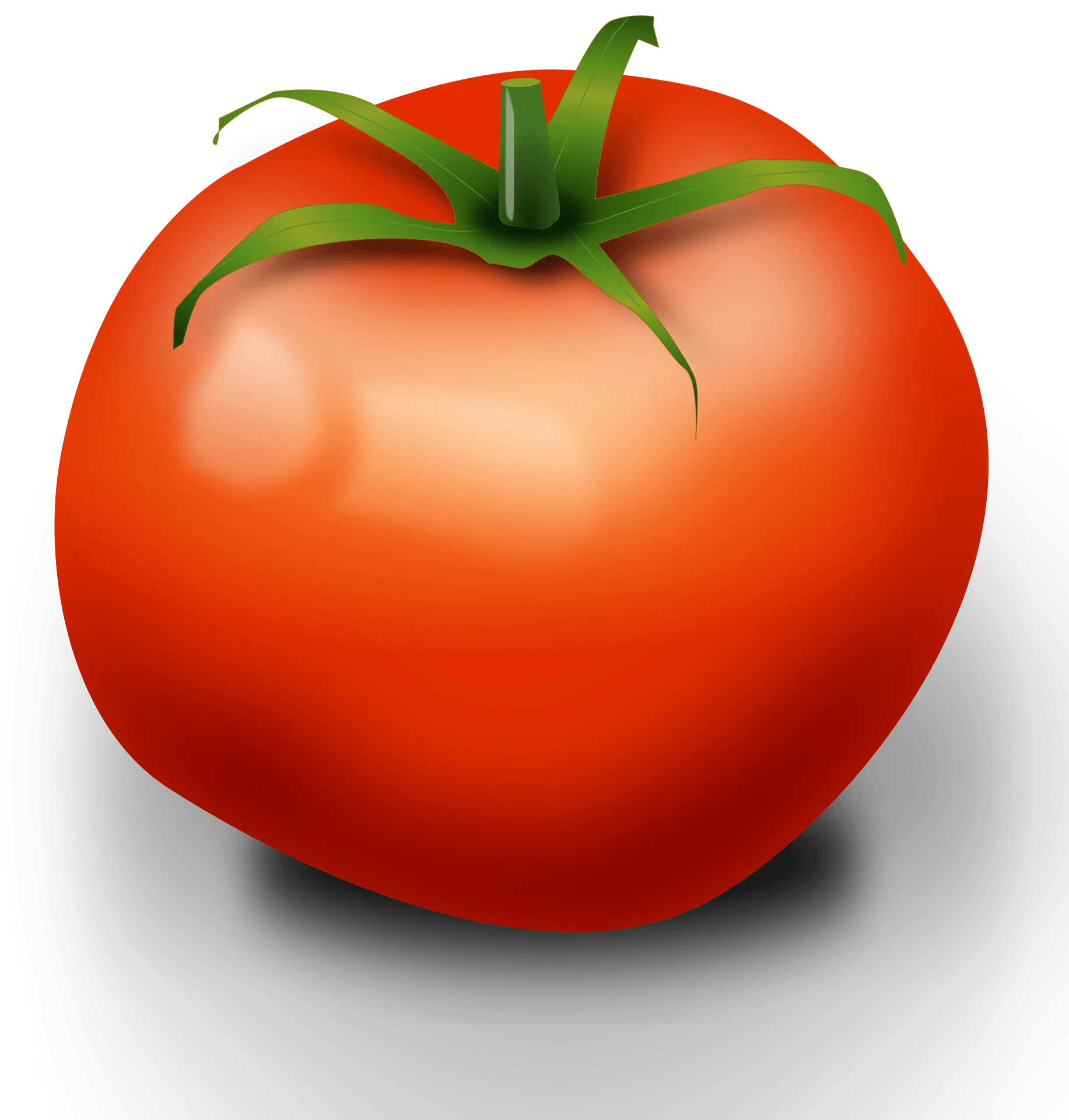 Fresh and Ripe Red Tomato Clipart Illustration with Glossy Surface