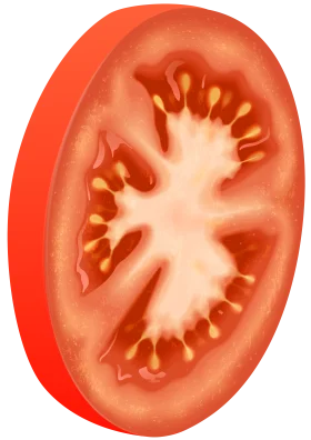 Fresh Juicy Sliced Tomato Clipart with Intricate Seed Patterns and Radiant Color