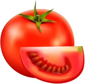 Fresh Red Ripe Tomato Clipart with Sliced Segment Illustration