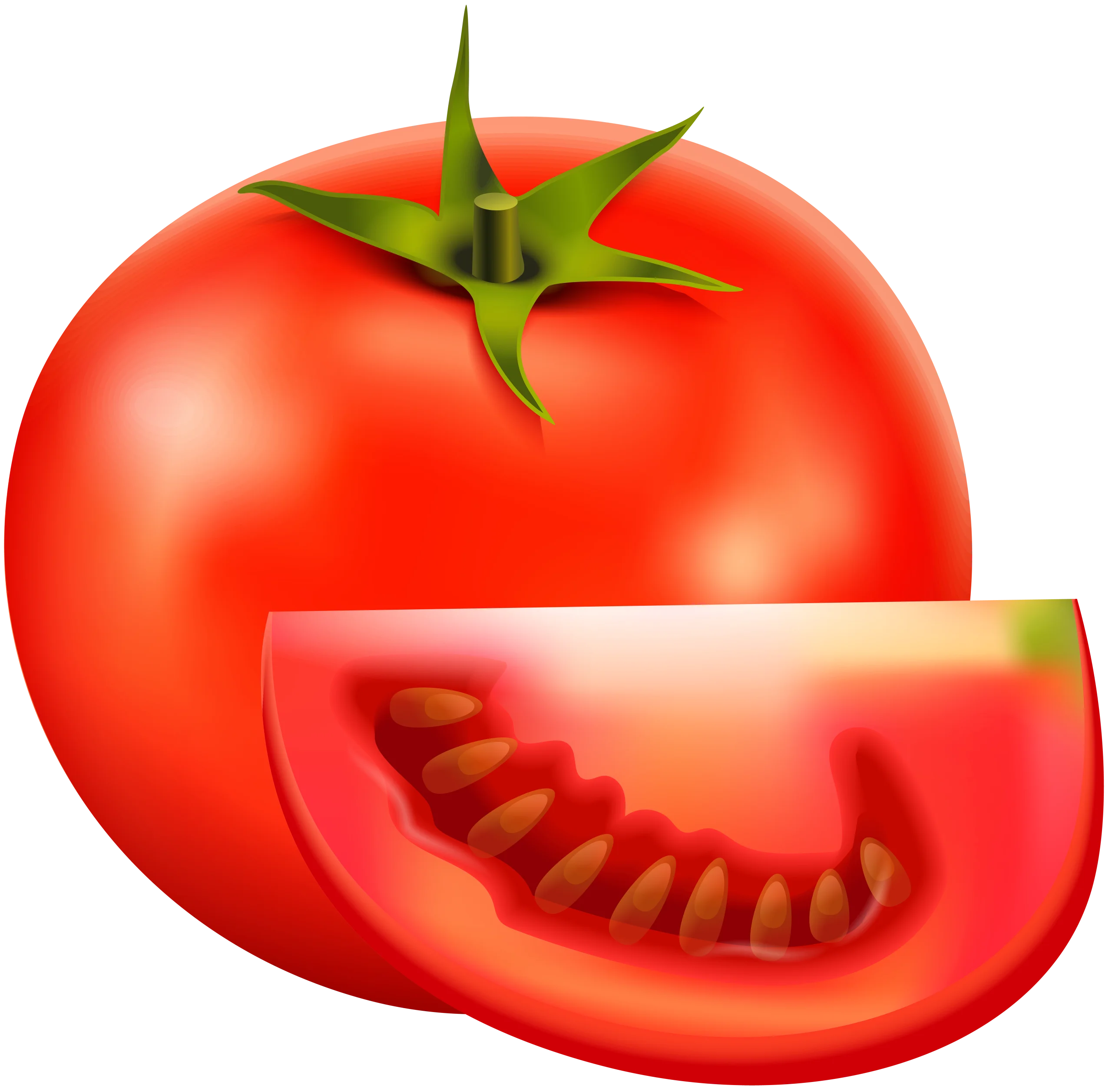 Fresh Red Ripe Tomato Clipart with Sliced Segment Illustration