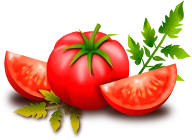 Fresh Red Ripe Tomatoes Clipart Design with Leafy Green Stems and Slices