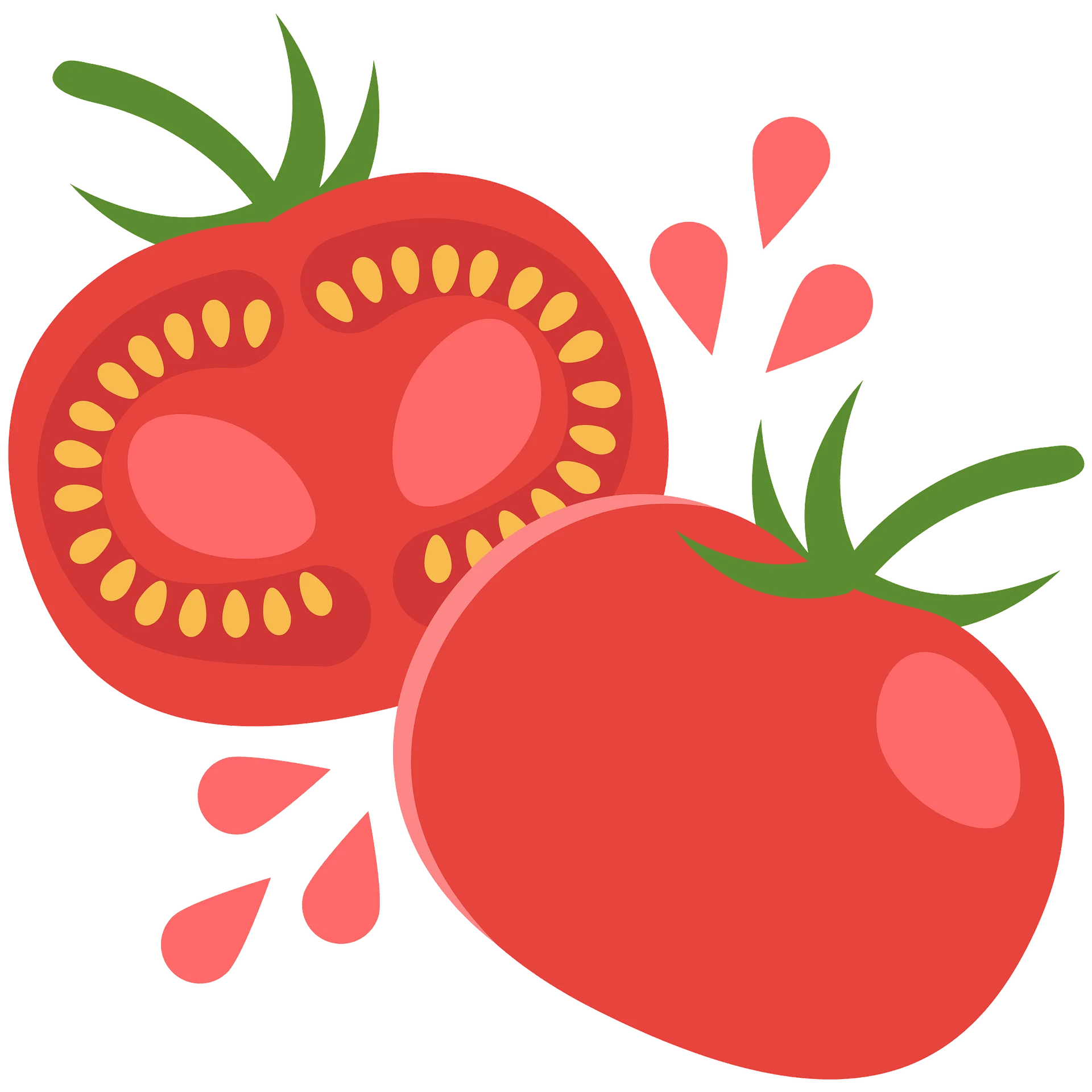 Fresh Red Tomatoes Clipart Illustration with Juicy Sliced and Whole Fruit Design