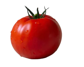 Fresh Ripe Red Tomato Clipart: Juicy Garden Delight with Glossy Smooth Texture