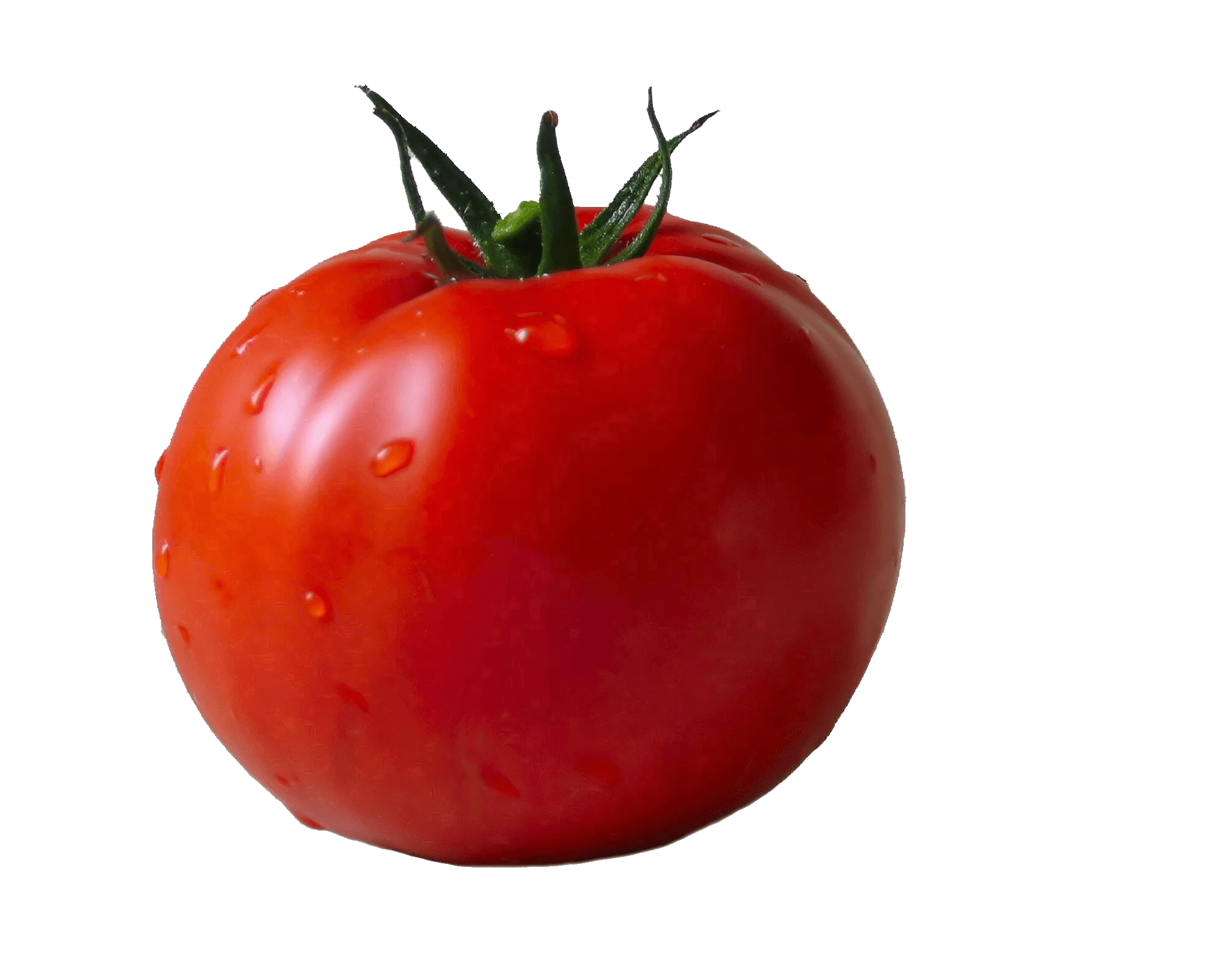Fresh Ripe Red Tomato Clipart: Juicy Garden Delight with Glossy Smooth Texture
