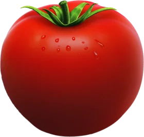 Fresh Ripe Red Tomato Clipart - Juicy Vegetable Illustration with Glistening Skin