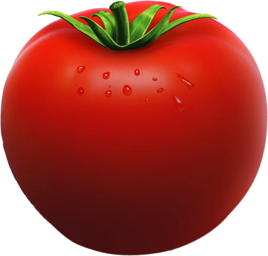 Fresh Ripe Red Tomato Clipart - Juicy Vegetable Illustration with Glistening Skin
