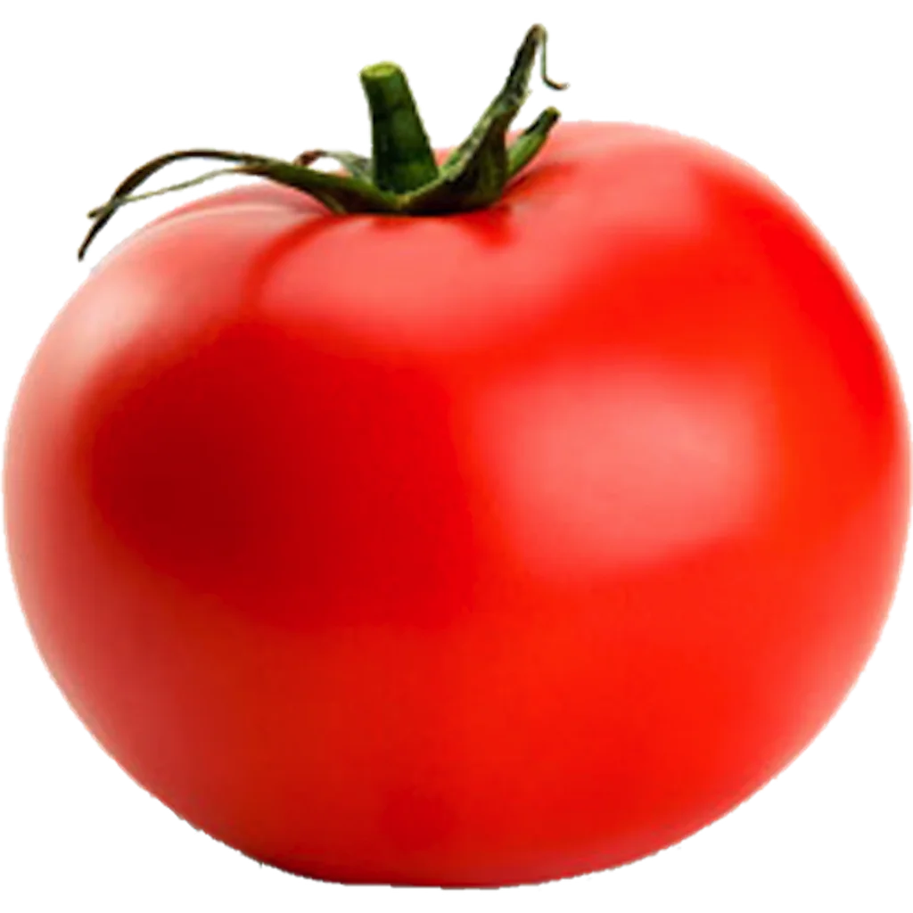 Fresh Ripe Red Tomato Clipart: Perfectly Rounded Glossy Garden Vegetable Illustration