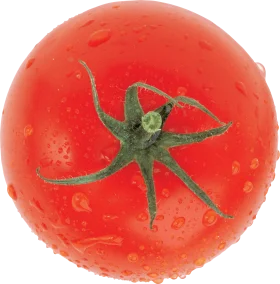 Fresh Ripe Red Tomato Clipart with Glistening Water Droplets and Green Stem