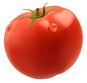 Fresh Ripe Red Tomato Clipart with Glossy Surface and Green Stem