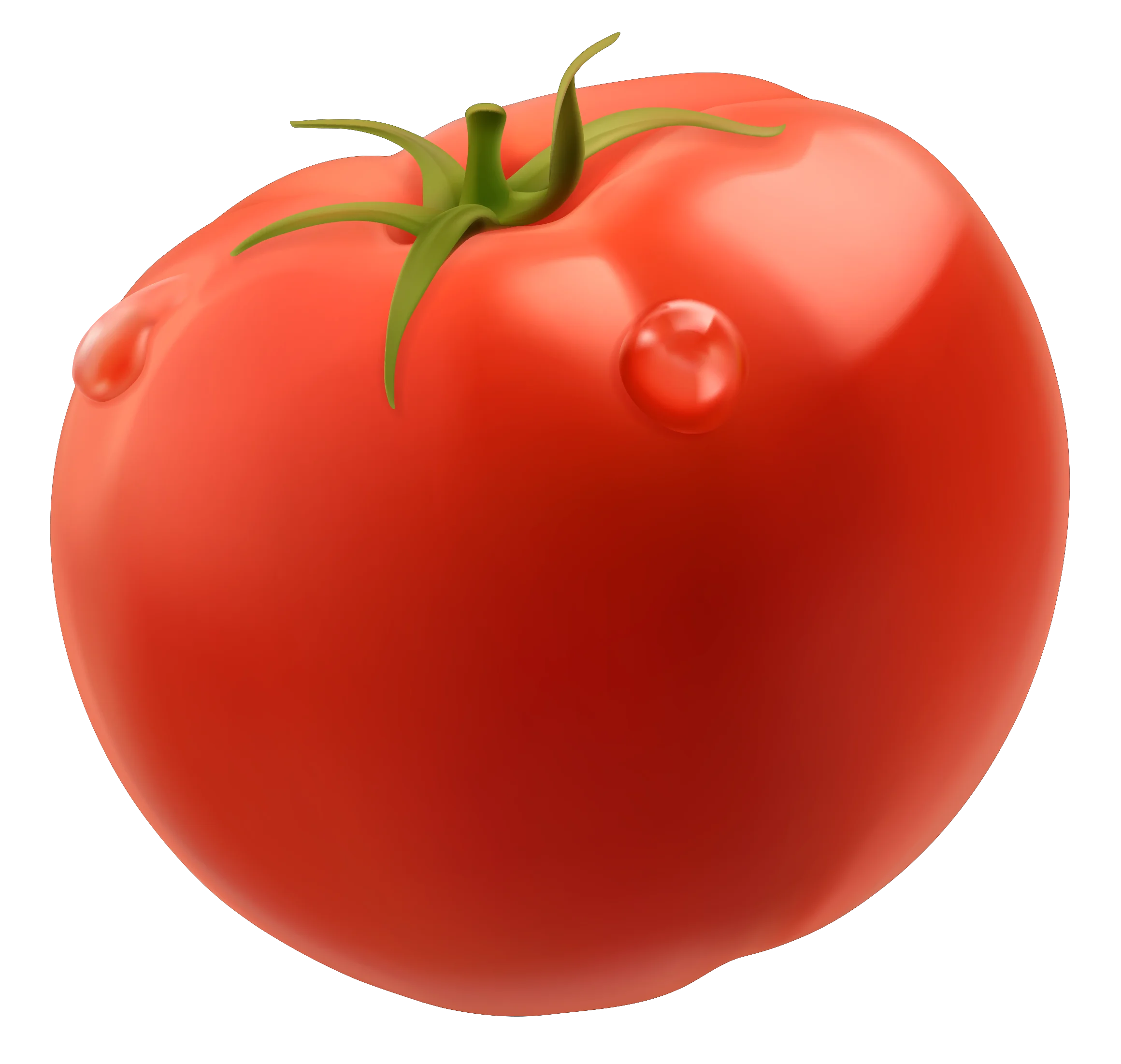 Fresh Ripe Red Tomato Clipart with Glossy Surface and Green Stem
