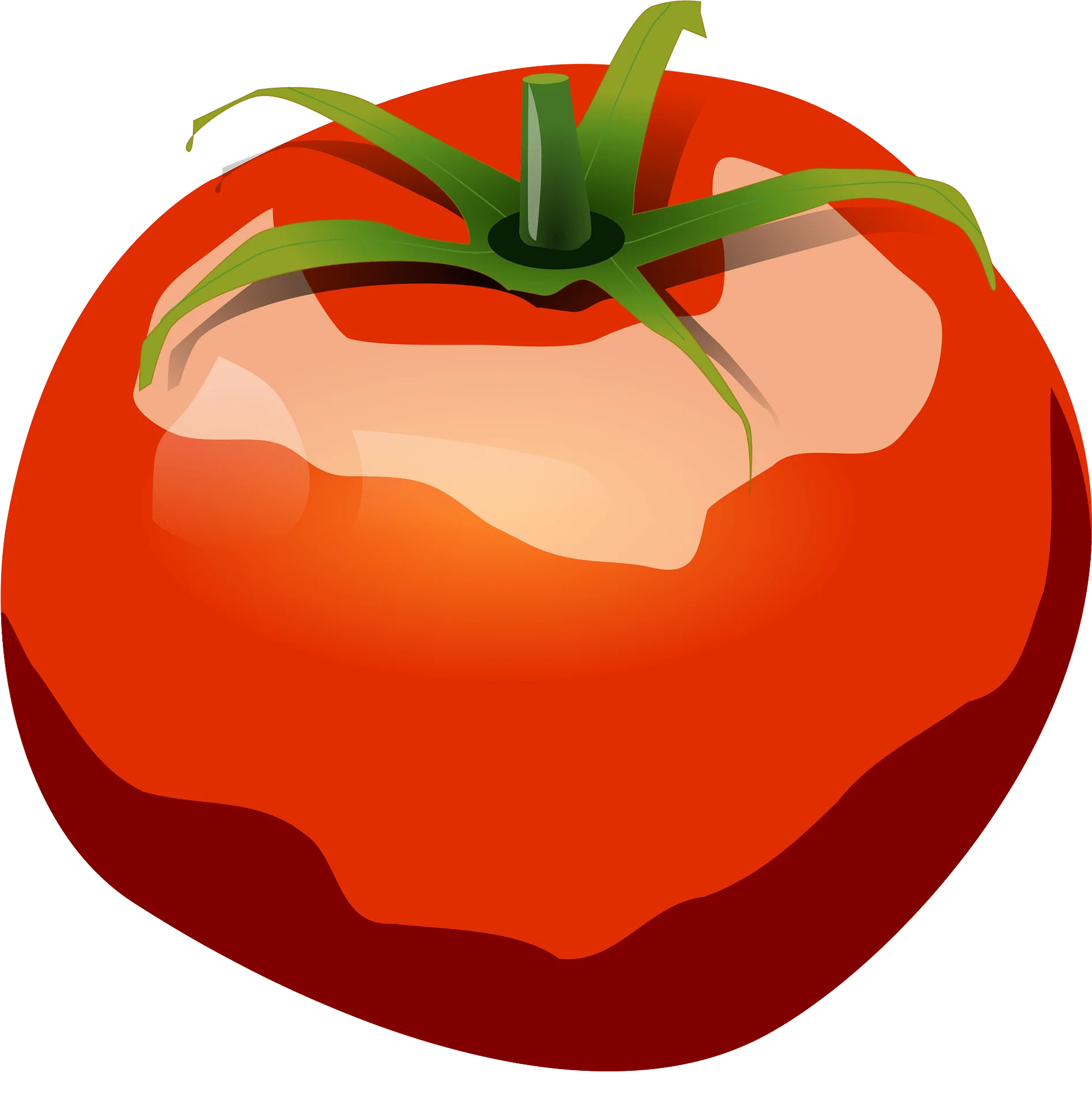 Fresh Ripe Red Tomato Clipart with Glossy Surface and Green Stem Illustration
