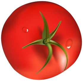 Fresh Ripe Red Tomato Clipart with Glossy Surface and Green Stem Illustration