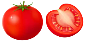 Fresh Ripe Red Tomato Whole and Sliced Clipart Illustration with Crisp Details