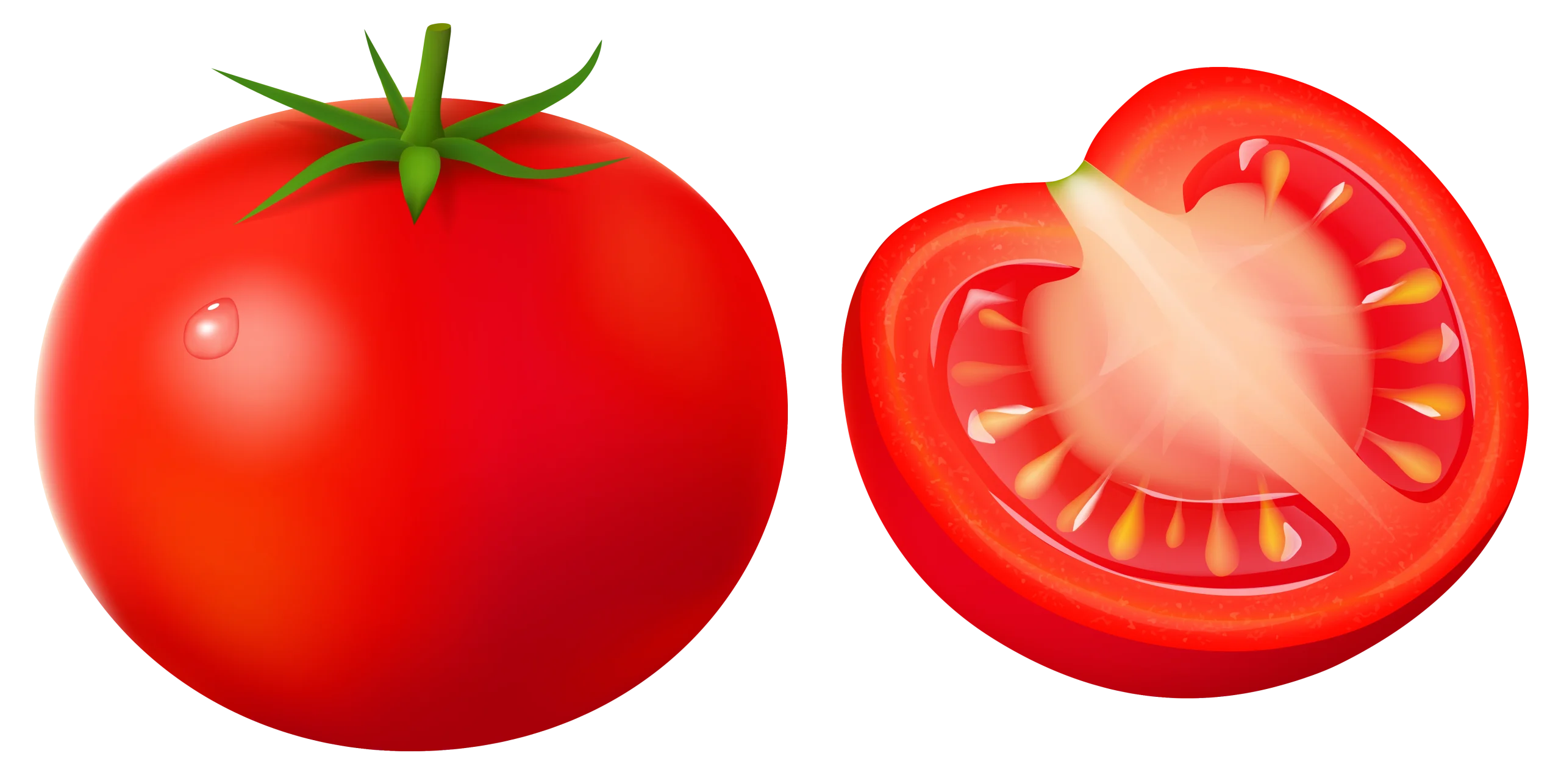 Fresh Ripe Red Tomato Whole and Sliced Clipart Illustration with Crisp Details
