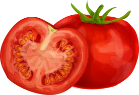Fresh Ripe Red Tomatoes Clipart: Juicy Whole and Sliced Produce Illustration