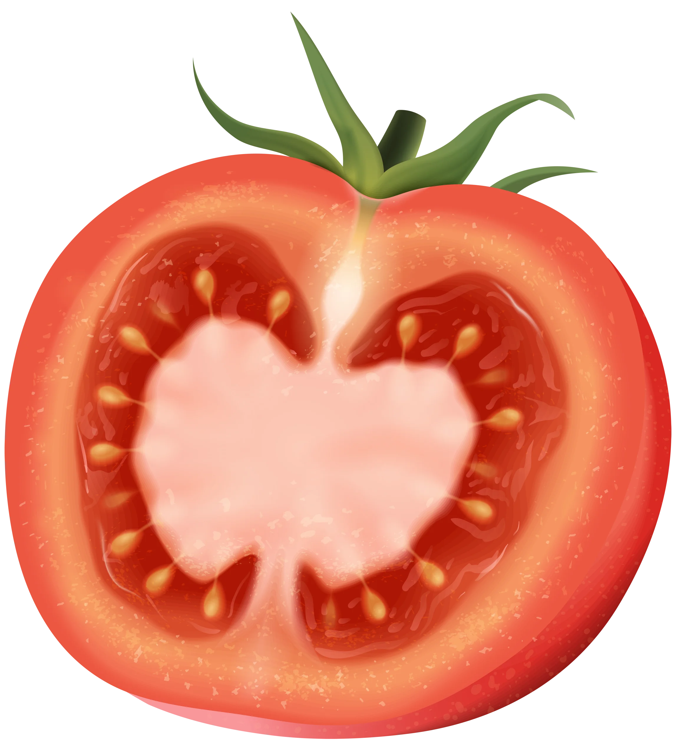 Fresh Sliced Ripe Red Tomato Clipart with Heart-Shaped Seed Pattern