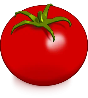 Glossy Ripe Red Tomato Clipart with Emerald Green Stem Illustration