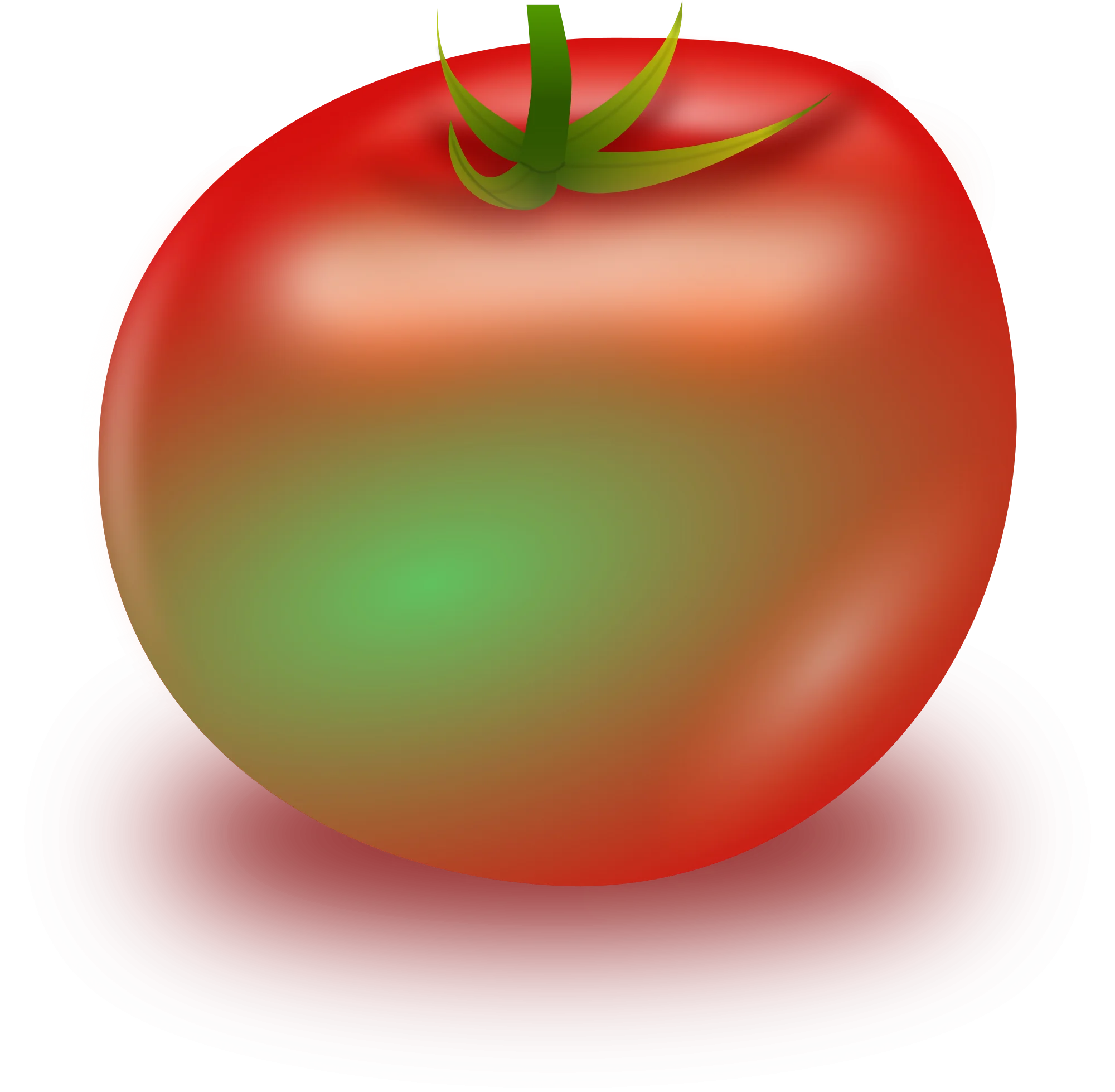 Ripe Red and Green Glossy Tomato Clipart with Smooth Gradient Shading