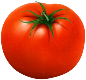 Ripe Red Juicy Tomato Clipart: A Photorealistic Illustration of Garden Fresh Produce