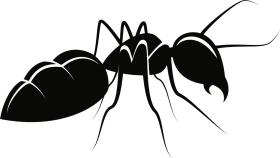 Black Silhouette of Detailed Ant Clipart - Minimalist Insect Design