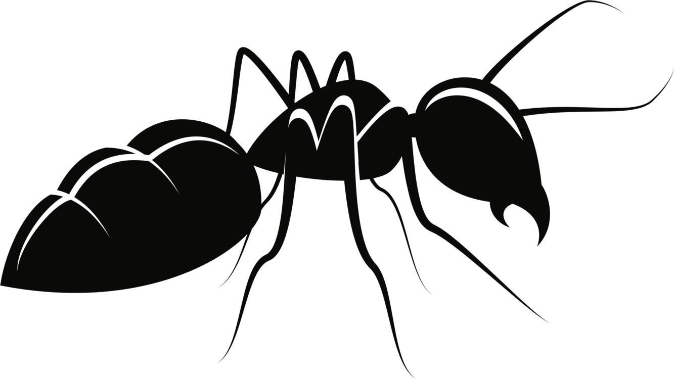 Black Silhouette of Detailed Ant Clipart - Minimalist Insect Design