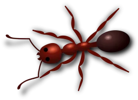 Detailed Red Fire Ant Clipart Illustration with Glossy Exoskeleton Design