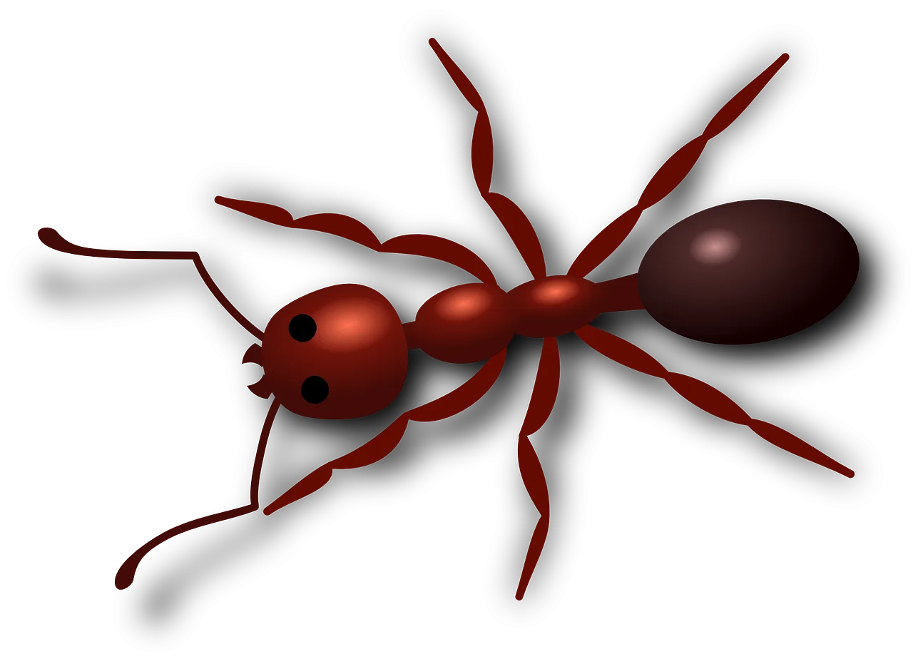Detailed Red Fire Ant Clipart Illustration with Glossy Exoskeleton Design