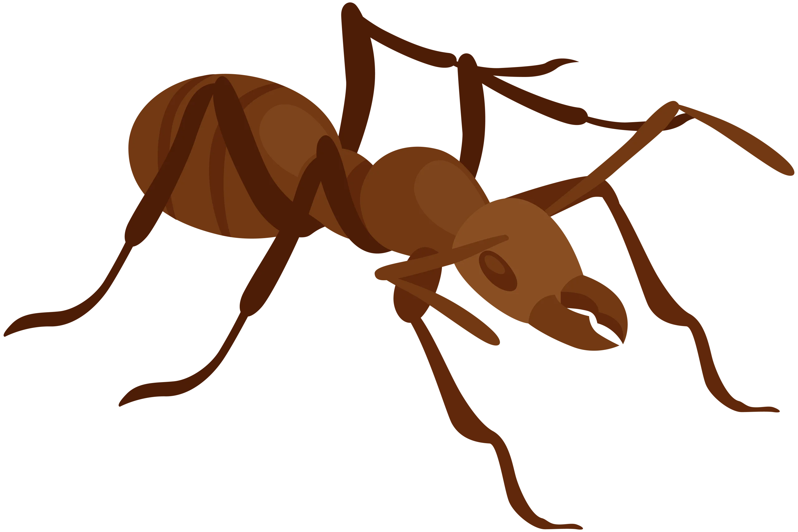 Minimalist Brown Ant Clipart Design with Simplified Anatomical Details