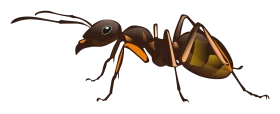Realistic Detailed Ant Clipart Illustration with Intricate Anatomical Features