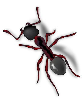 Realistic Red and Black Ant Clipart Design with Stylized Anatomical Details