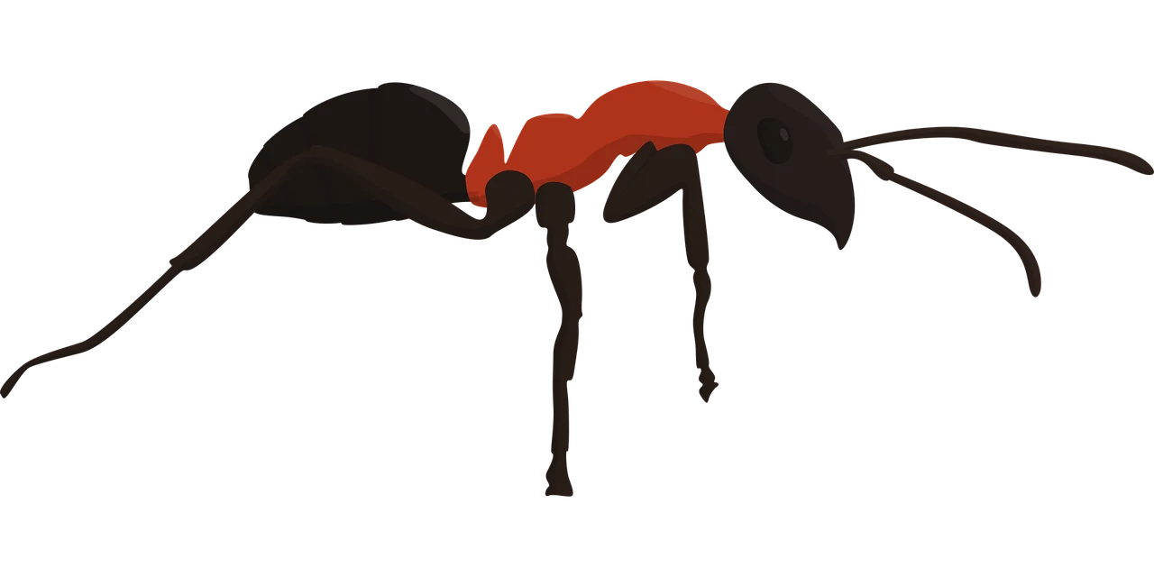 Stylized Black and Red Geometric Ant Clipart with Elongated Design