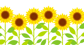 Cheerful Golden Sunflowers Clipart: A Delightful Botanical Illustration Design