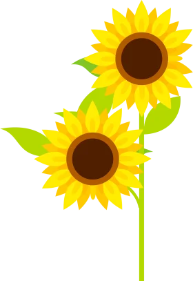 Cheerful Sunflowers Clipart: Radiant Botanical Illustration with Green Stems