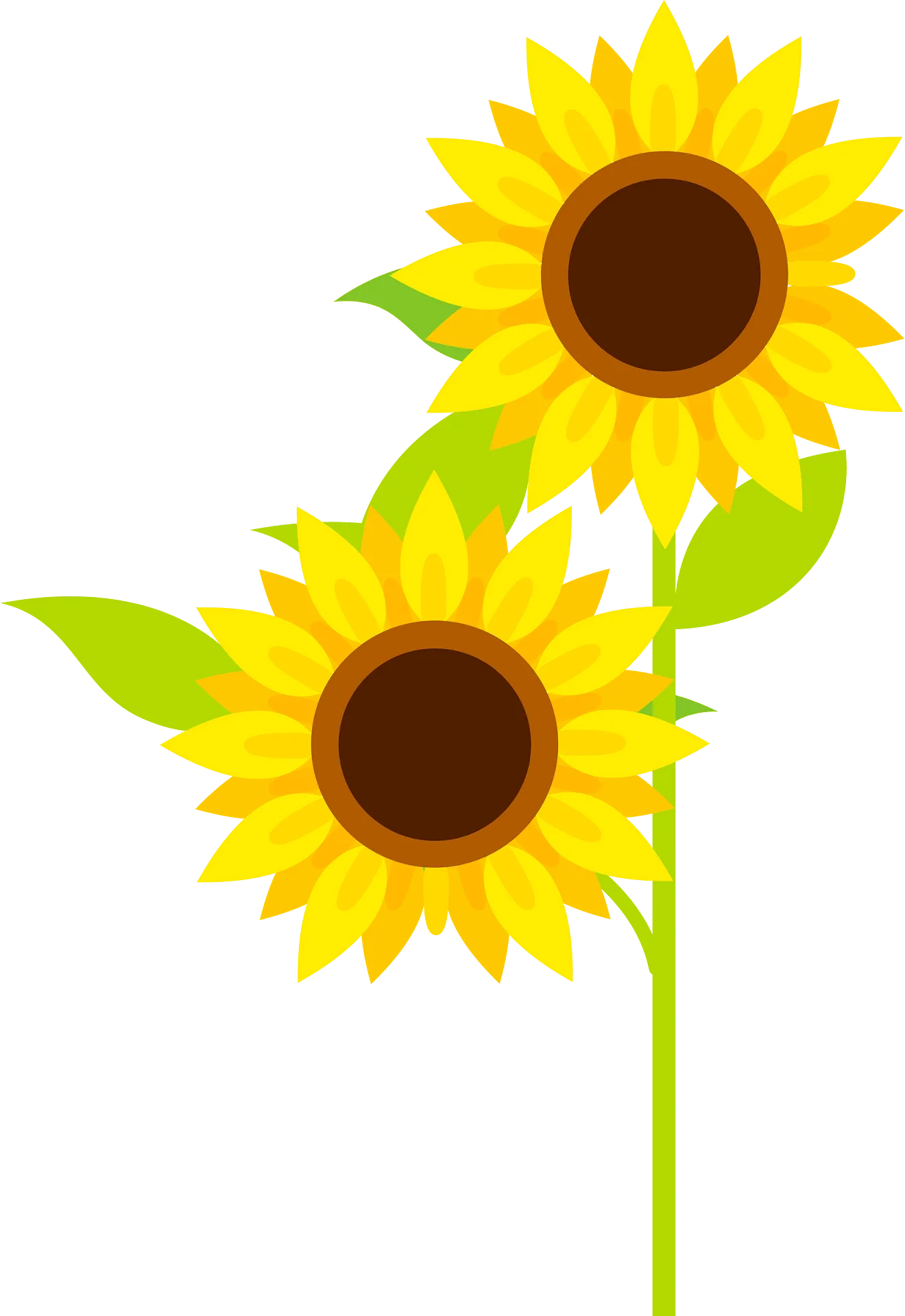 Cheerful Sunflowers Clipart: Radiant Botanical Illustration with Green Stems