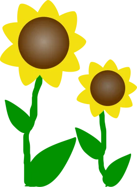 Cheerful Sunflowers Clipart: Two Blooming Botanical Illustrations with Green Stems