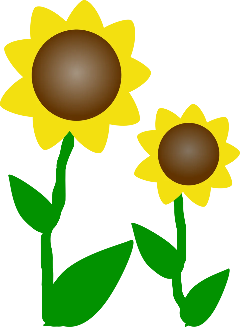 Cheerful Sunflowers Clipart: Two Blooming Botanical Illustrations with Green Stems