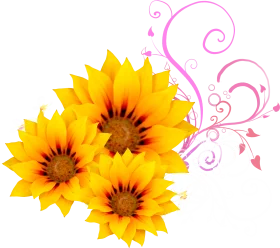 Cheerful Yellow Sunflowers Clipart with Delicate Pink Swirl Flourish