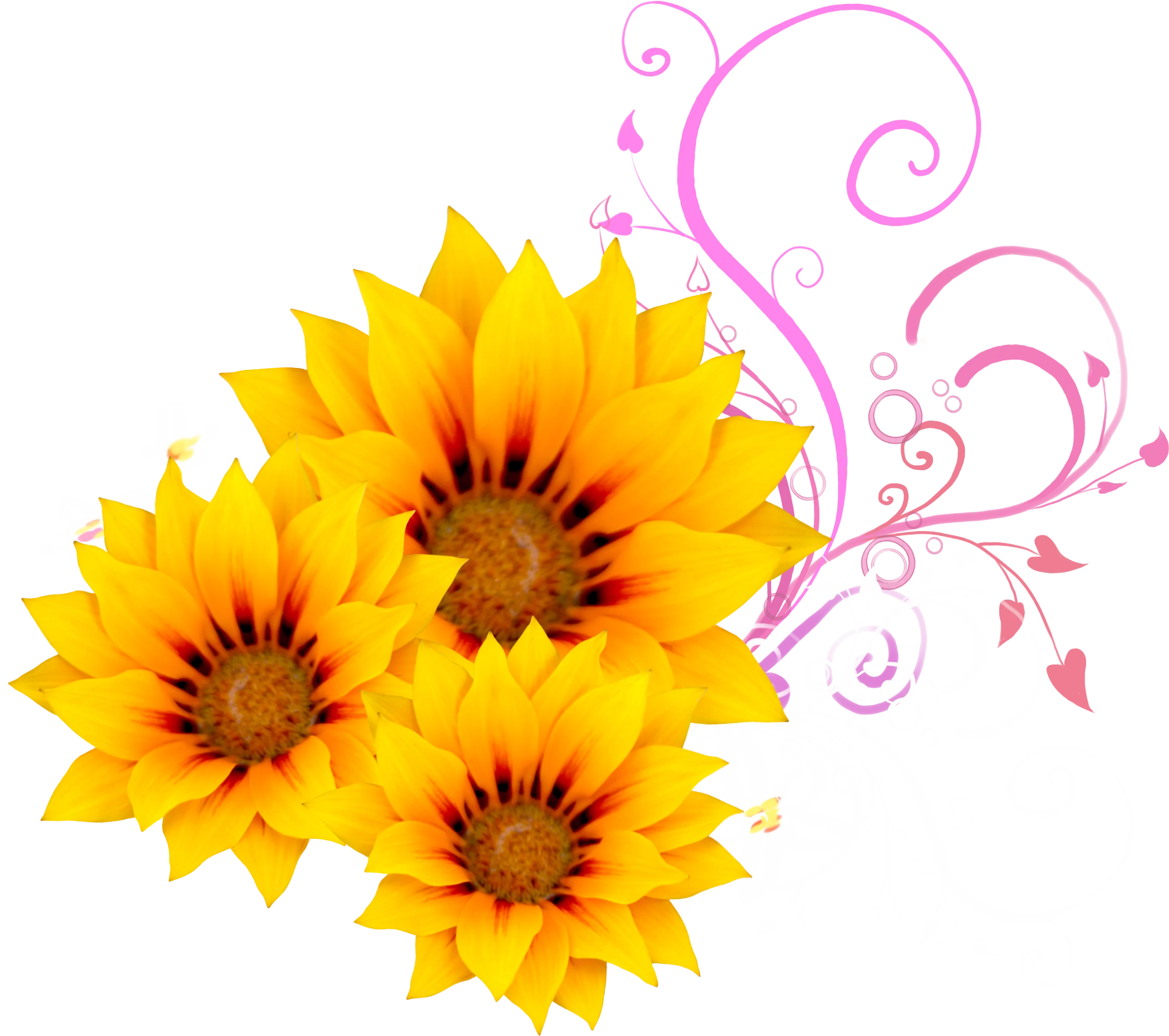 Cheerful Yellow Sunflowers Clipart with Delicate Pink Swirl Flourish