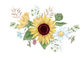 Delicate Sunflower Wildflower Watercolor Botanical Clipart Composition
