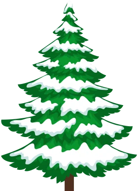Festive Winter Evergreen Snow-Covered Christmas Tree Clipart Design