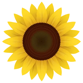 Radiant Yellow Sunflower Clipart: A Symmetrical Botanical Illustration