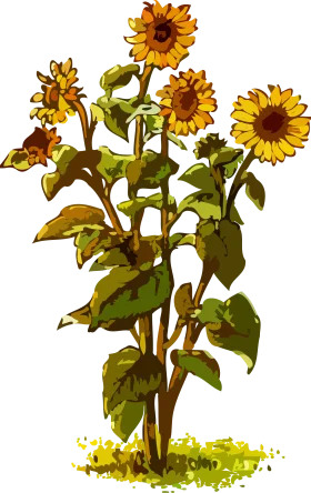 Rustic Sunflower Bouquet Clipart: Golden Blossoms and Verdant Leaves