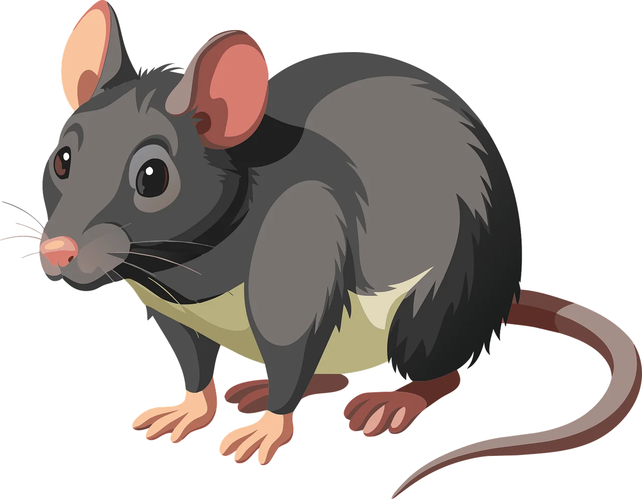 Charcoal Gray Cartoon Rat Clipart with Soft Fur and Expressive Features
