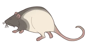 Charming Monochromatic Rat Clipart Illustration with Soft Color Palette