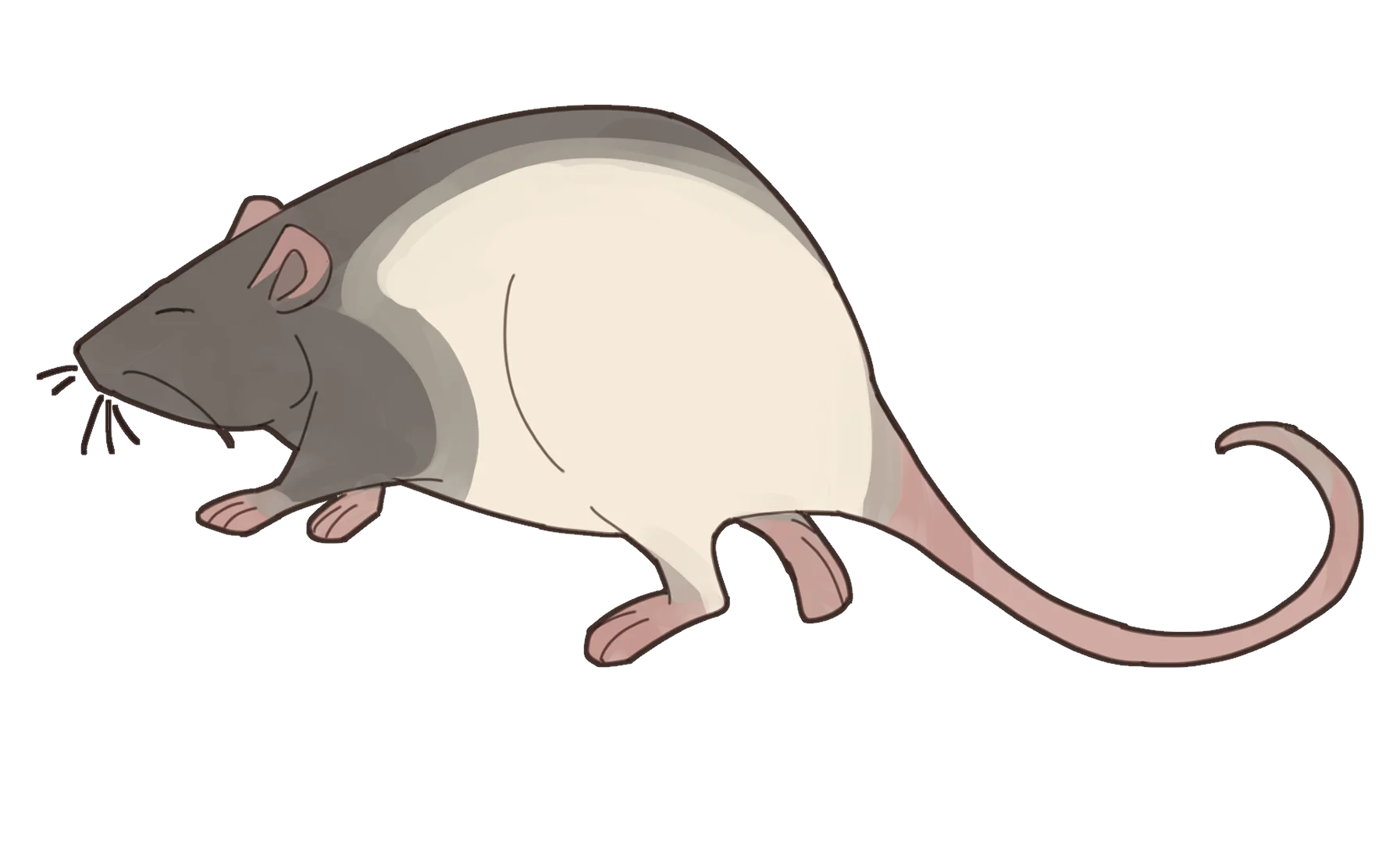 Charming Monochromatic Rat Clipart Illustration with Soft Color Palette