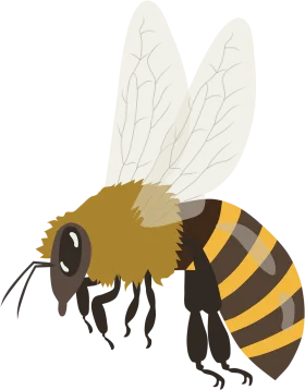 Detailed Bumblebee Clipart Illustration with Delicate Translucent Wings and Striped Body