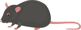 Minimalist Dark Gray Rat Clipart with Soft Pink Accents and Simple Design