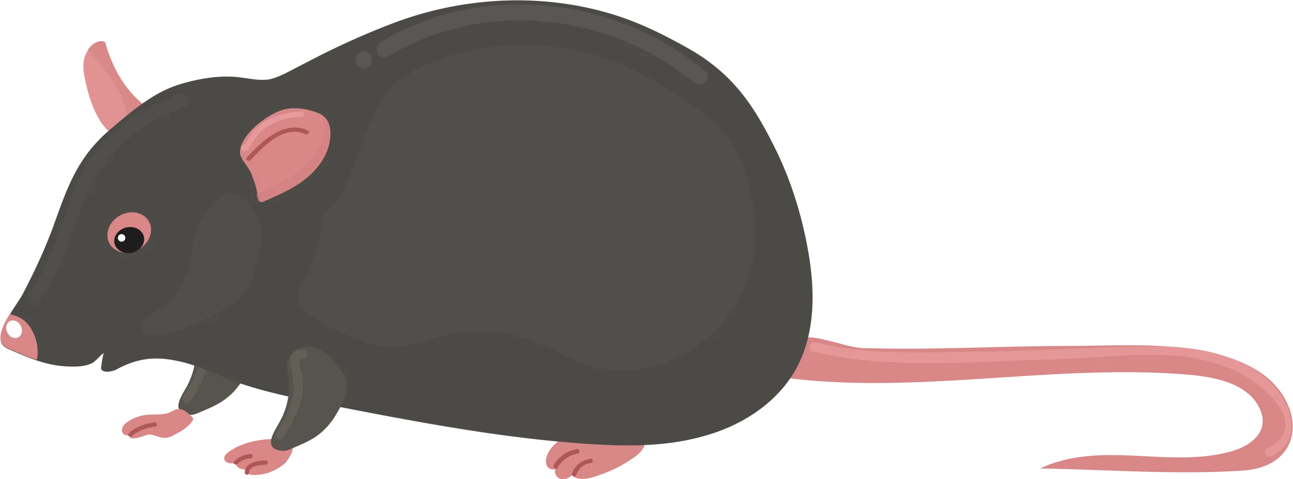 Minimalist Dark Gray Rat Clipart with Soft Pink Accents and Simple Design