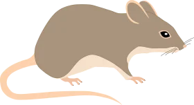 Minimalist Gray and Beige Rodent Silhouette Rat Clipart Illustration