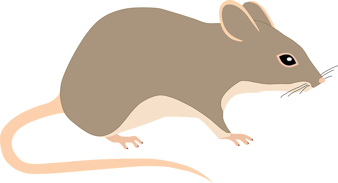 Minimalist Gray and Beige Rodent Silhouette Rat Clipart Illustration